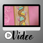Rabbits in a Ribbon Video